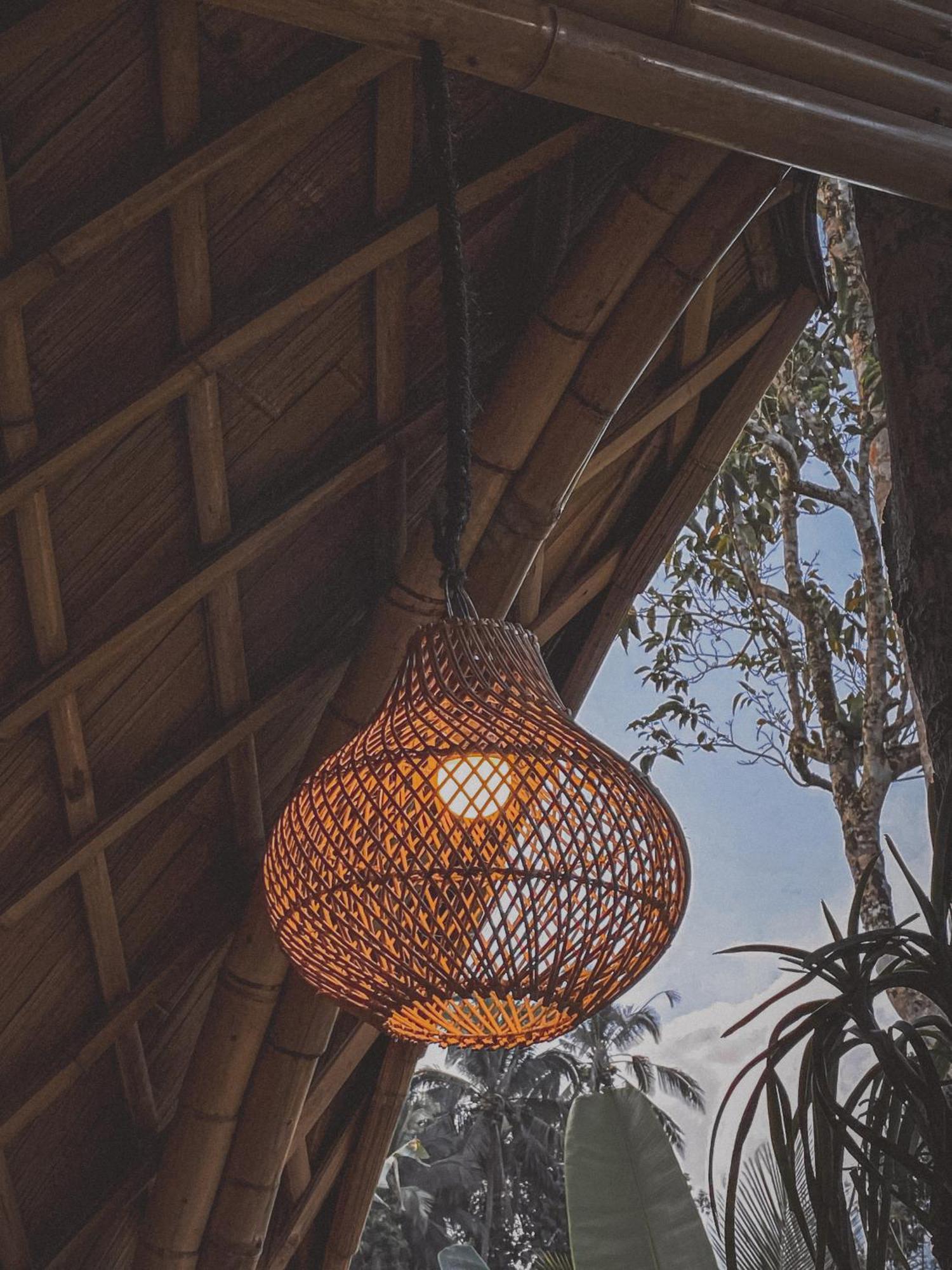 시데멘 Alamvaya Bali Bamboo House 빌라 외부 사진