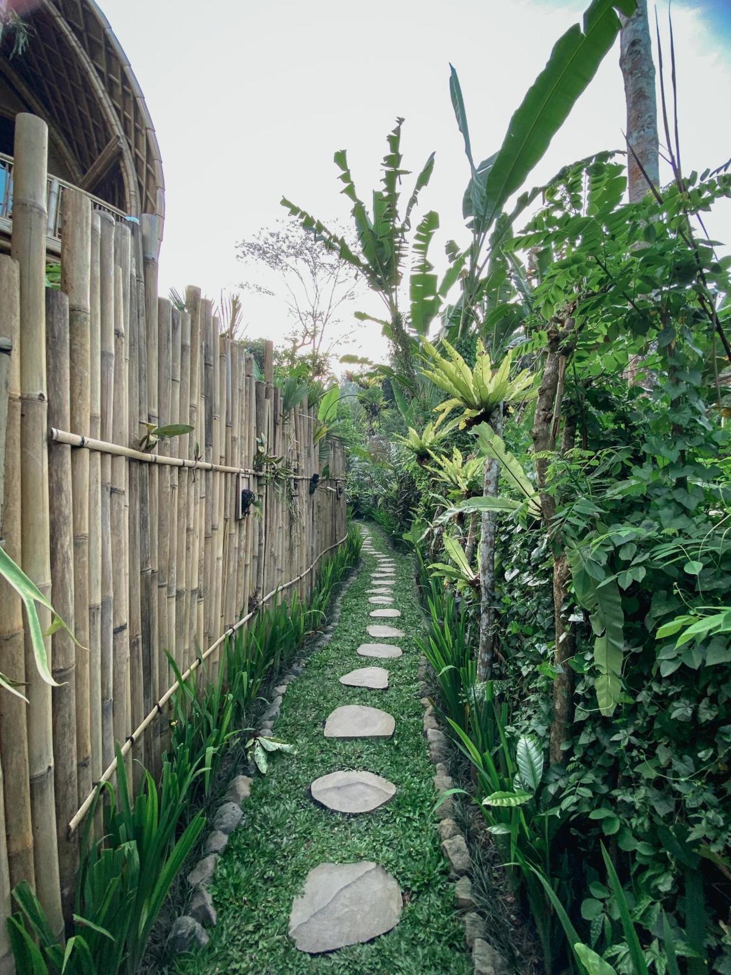 시데멘 Alamvaya Bali Bamboo House 빌라 외부 사진
