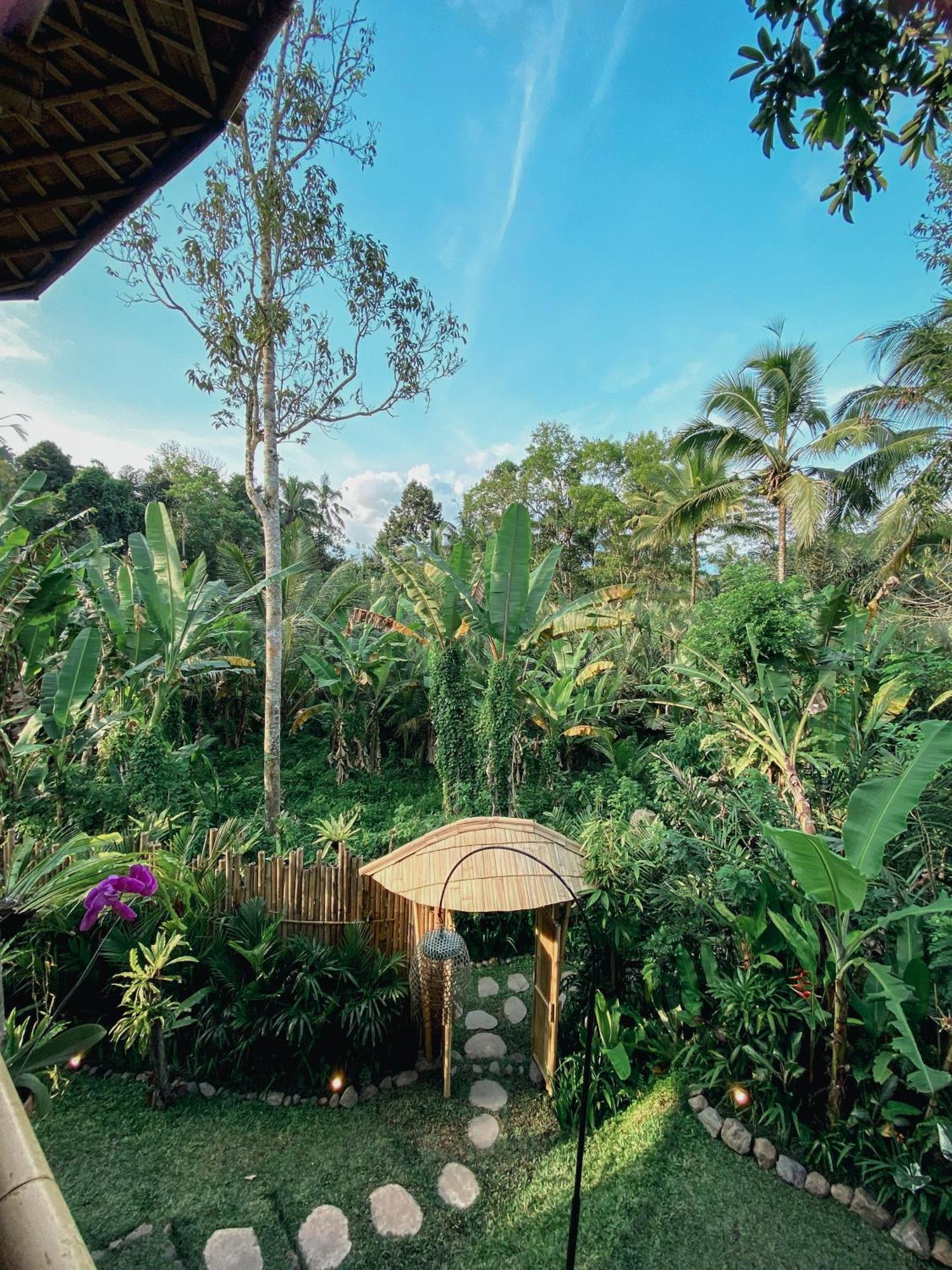 시데멘 Alamvaya Bali Bamboo House 빌라 외부 사진