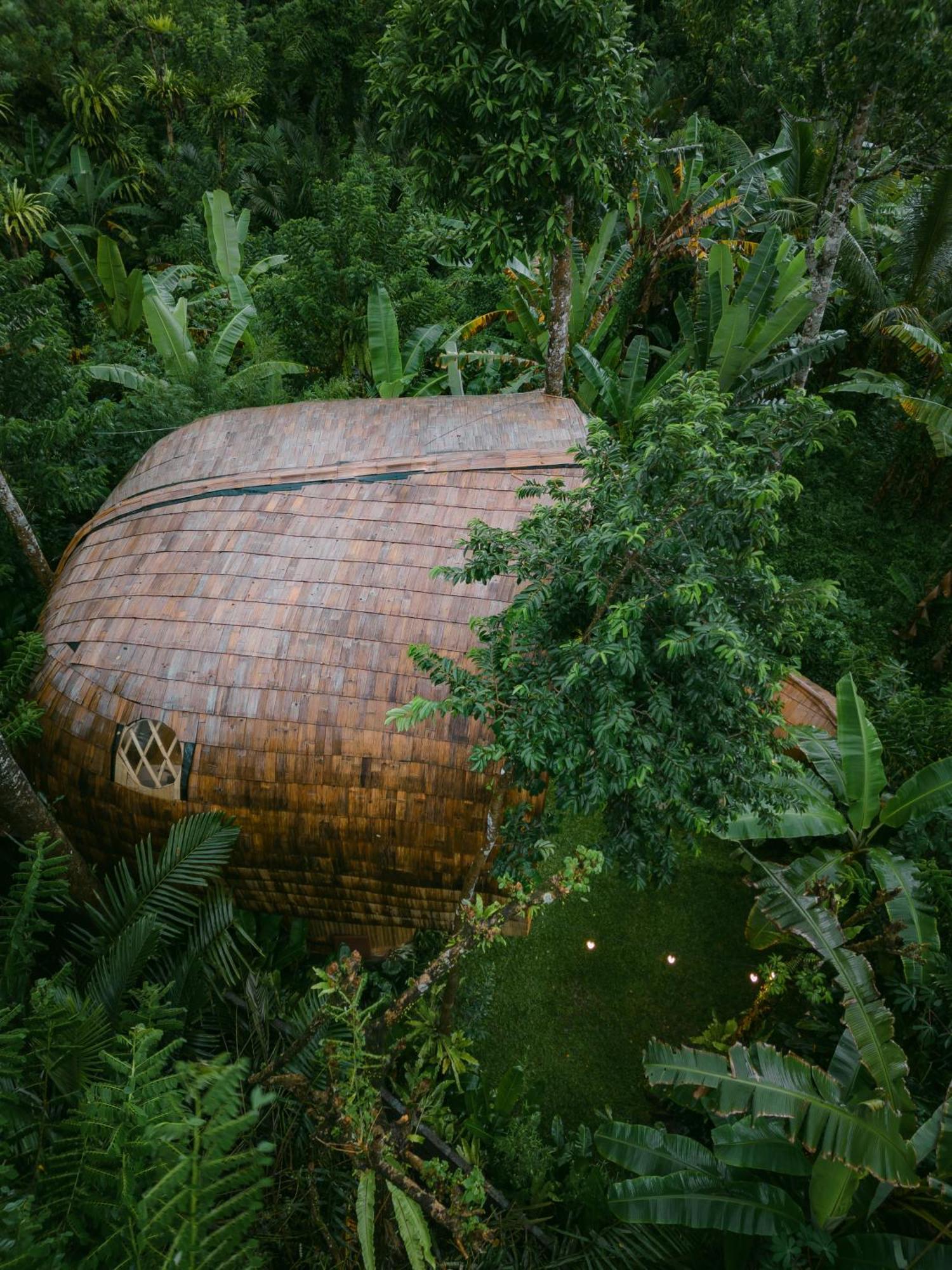 시데멘 Alamvaya Bali Bamboo House 빌라 외부 사진