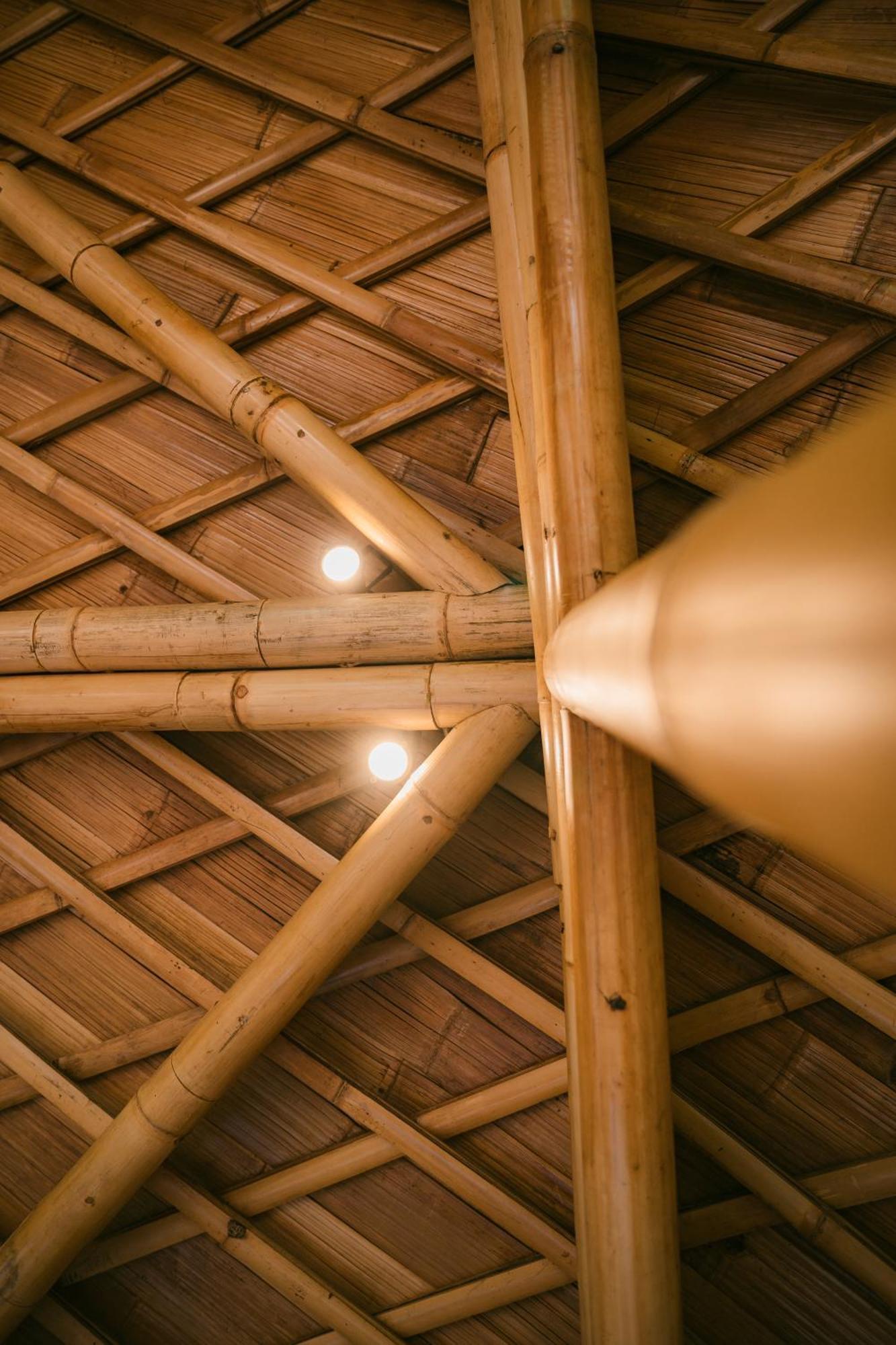 시데멘 Alamvaya Bali Bamboo House 빌라 외부 사진