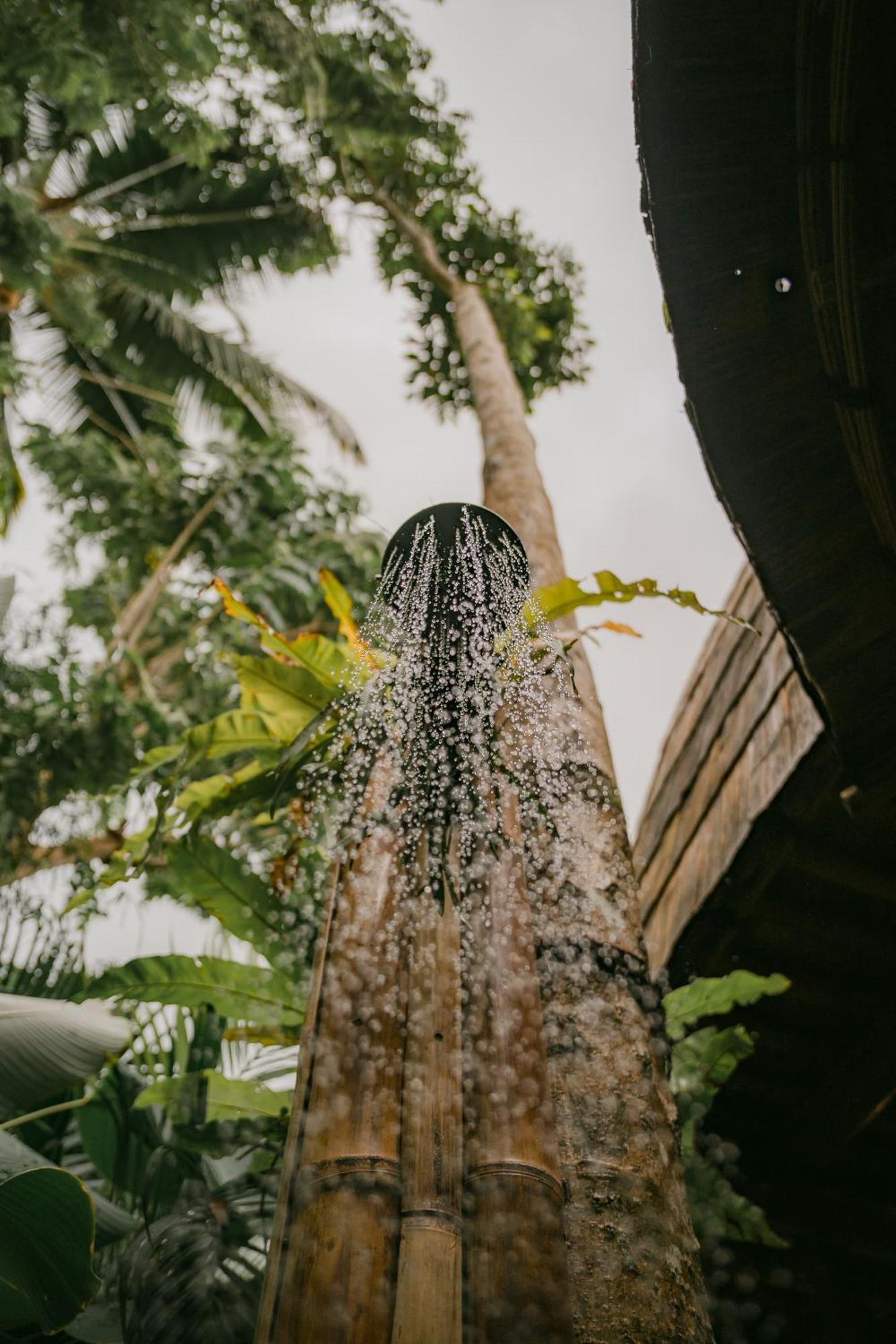 시데멘 Alamvaya Bali Bamboo House 빌라 외부 사진