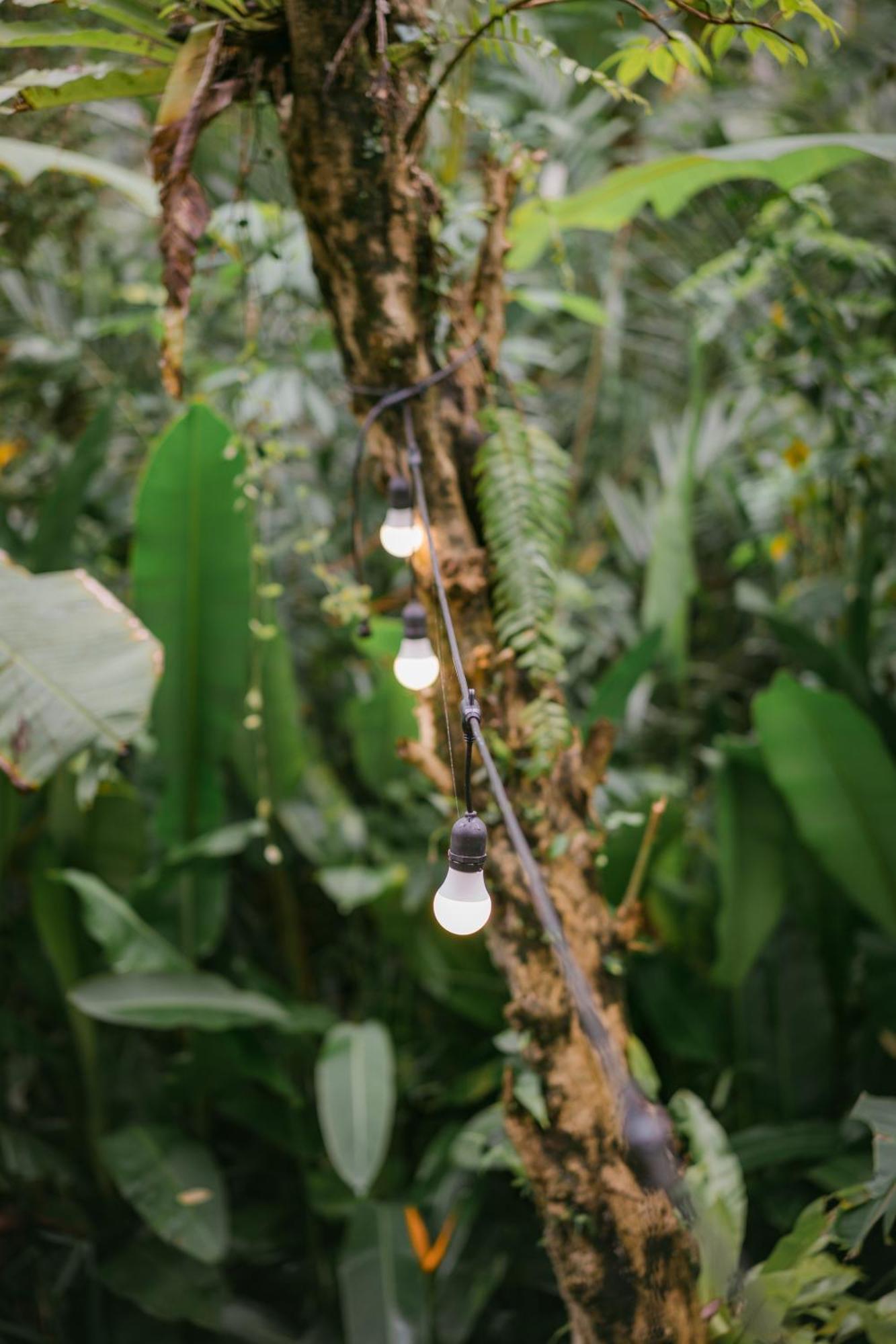 시데멘 Alamvaya Bali Bamboo House 빌라 외부 사진
