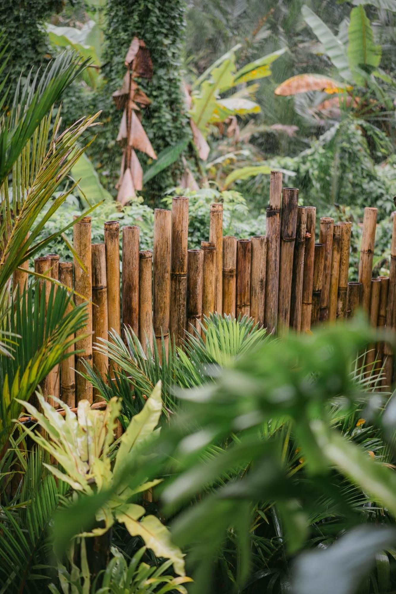 시데멘 Alamvaya Bali Bamboo House 빌라 외부 사진
